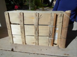 TN_SAM_5001_cassetta Ilaria.JPG